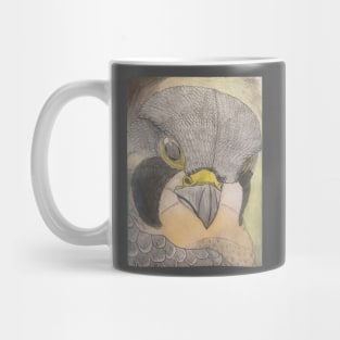 Watchful eyes Mug